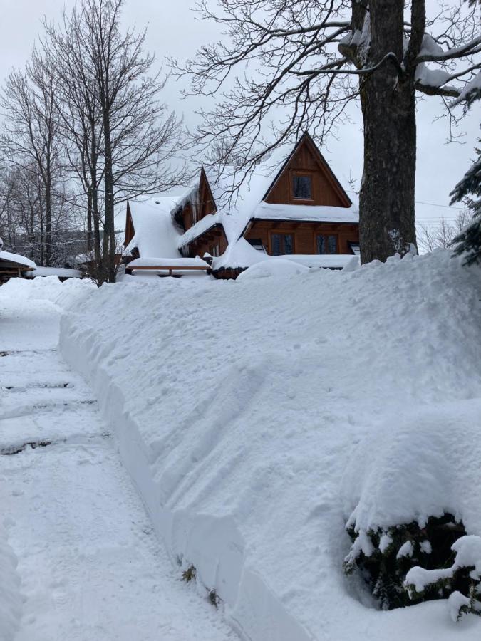 Apartamento Mountain Dream Kościelisko Exterior foto